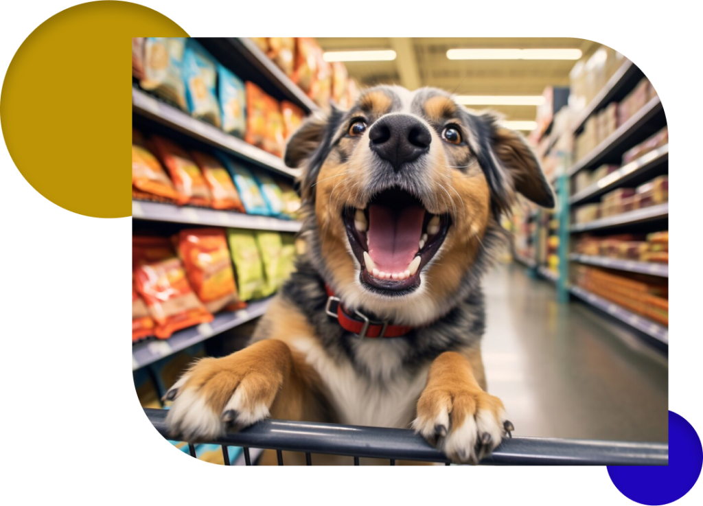 Ecommerce Pet Application