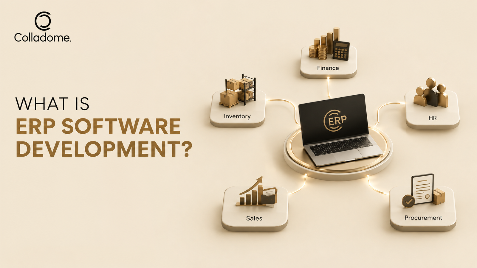 What is ERP Software Development?